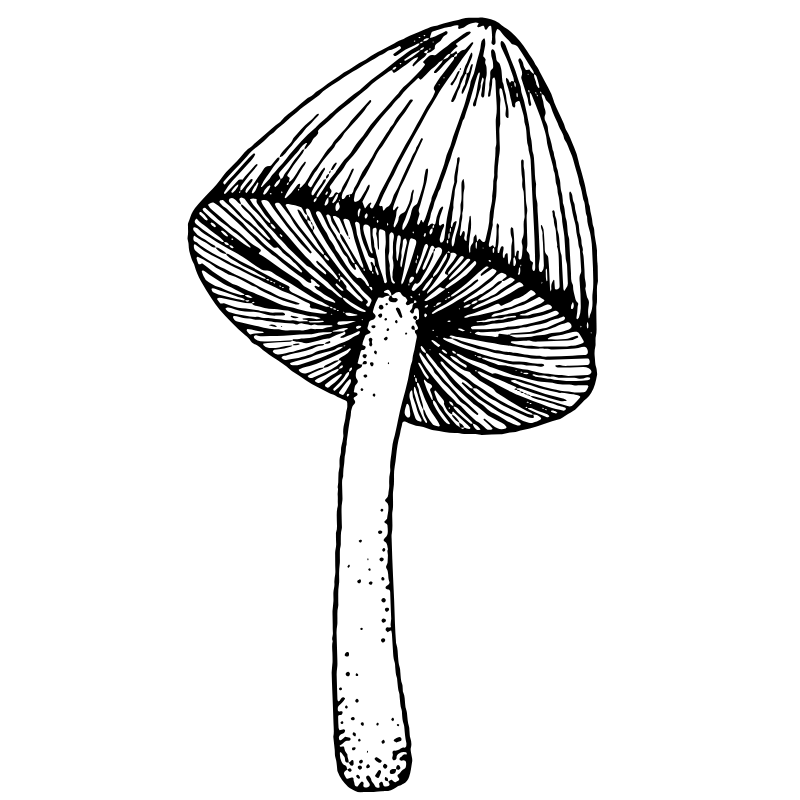 hongos para etiquetas (1)
